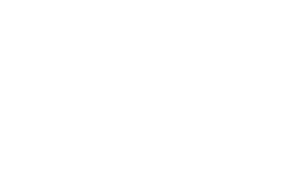 Partners Partners RAY WIT 1 1024x673