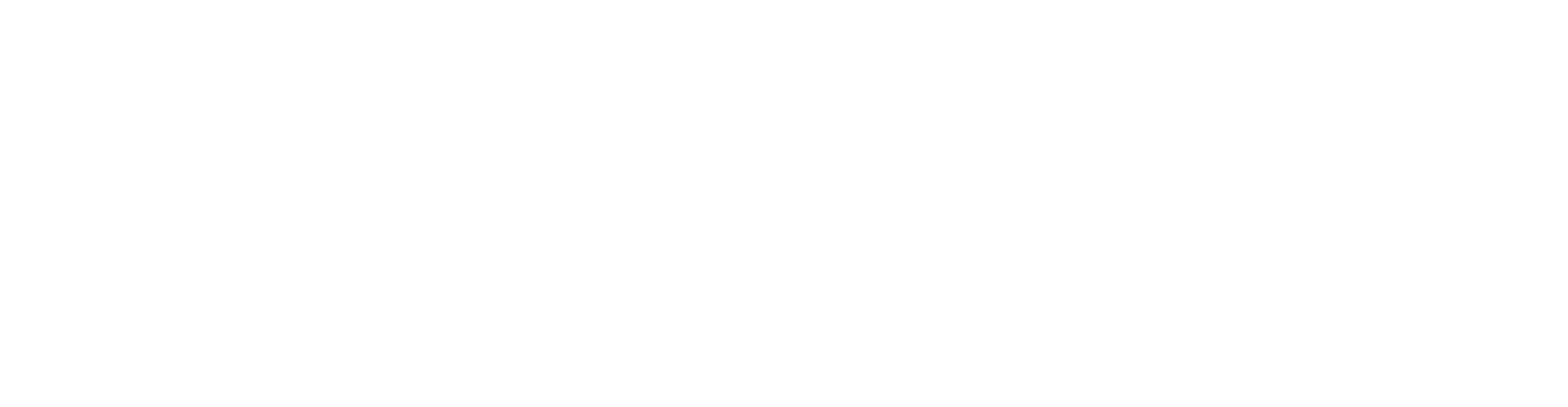 Partners Partners qs min