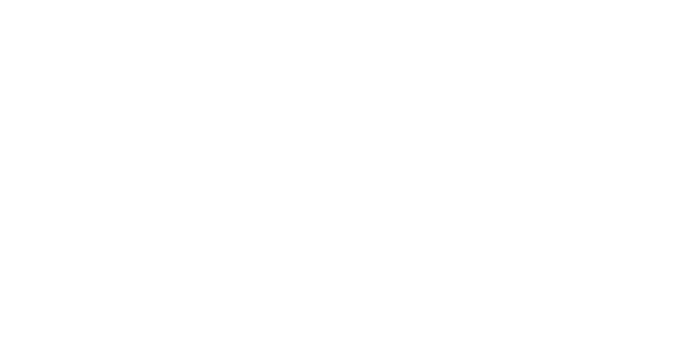 Partners Partners EY white 1