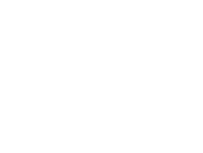 Partners Partners PwC logo